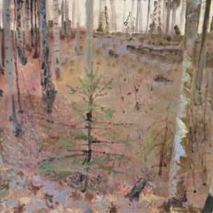 Ирина Васильева 13